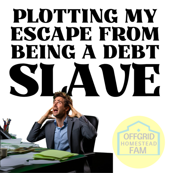 Breaking Free: Escaping Debt Slavery with an Off-Grid Homestead